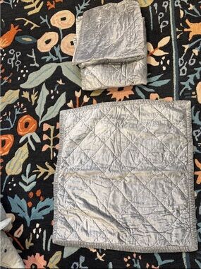 Fieldcrest Gray Washable Velvet Euro Shams set of 3